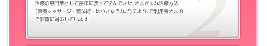治療の専門家として長年に渡って学んできた、さまざまな治療方法(医療マッサージ・整体術・はりきゅうなど)により、ご利用者さまのご要望に対応しています。